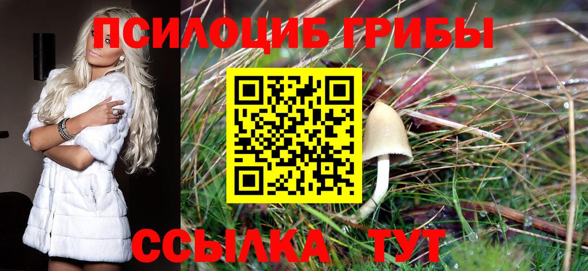 Псилоцибиновые грибы Magic Shrooms Петропавловск-Камчатский
